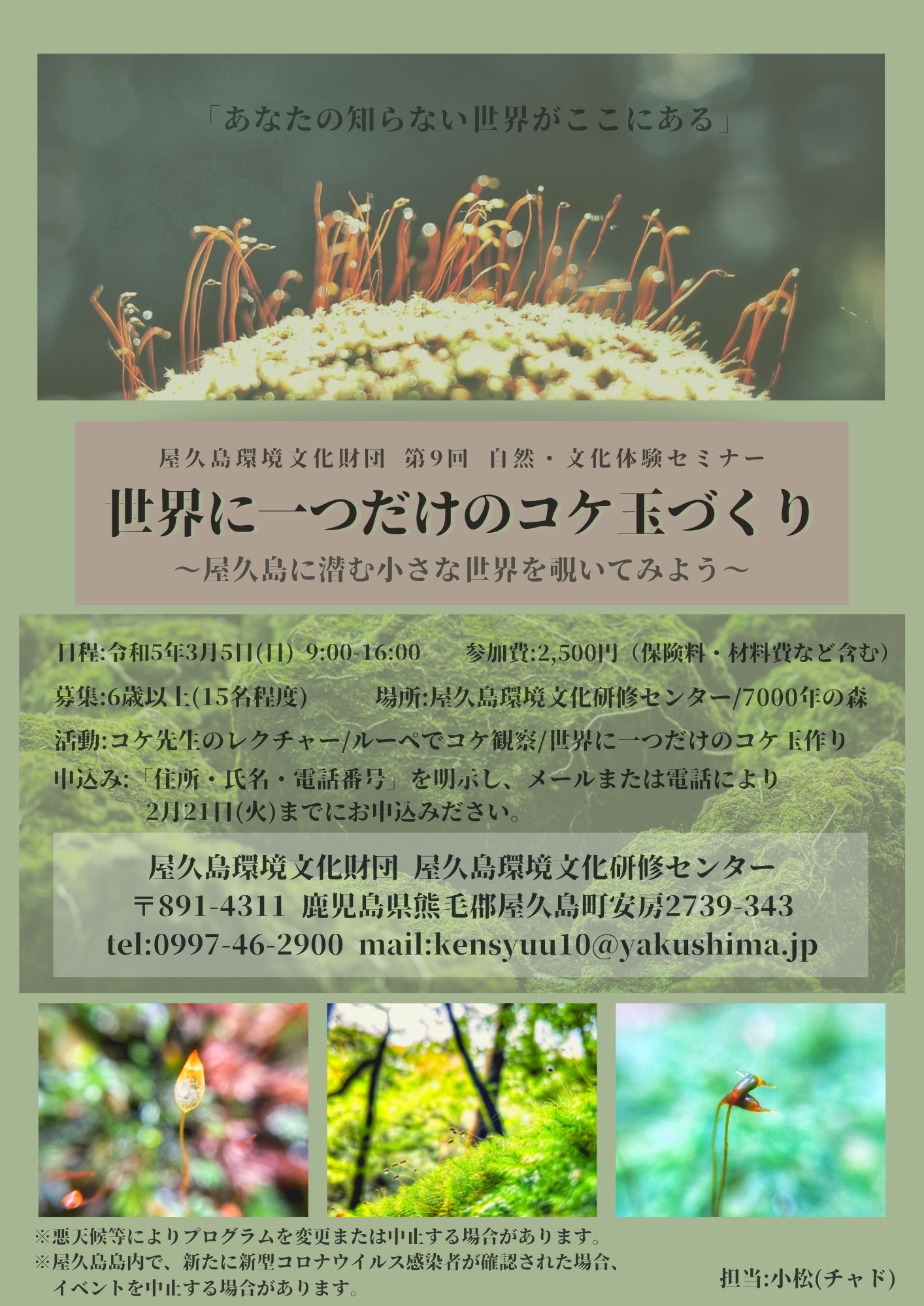 世界に一つだけのコケ玉づくり～屋久島に潜...
