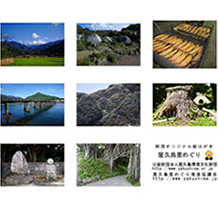 財団オリジナル絵はがき
8枚セット