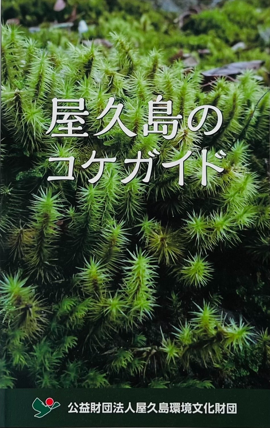 屋久島のコケガイド 