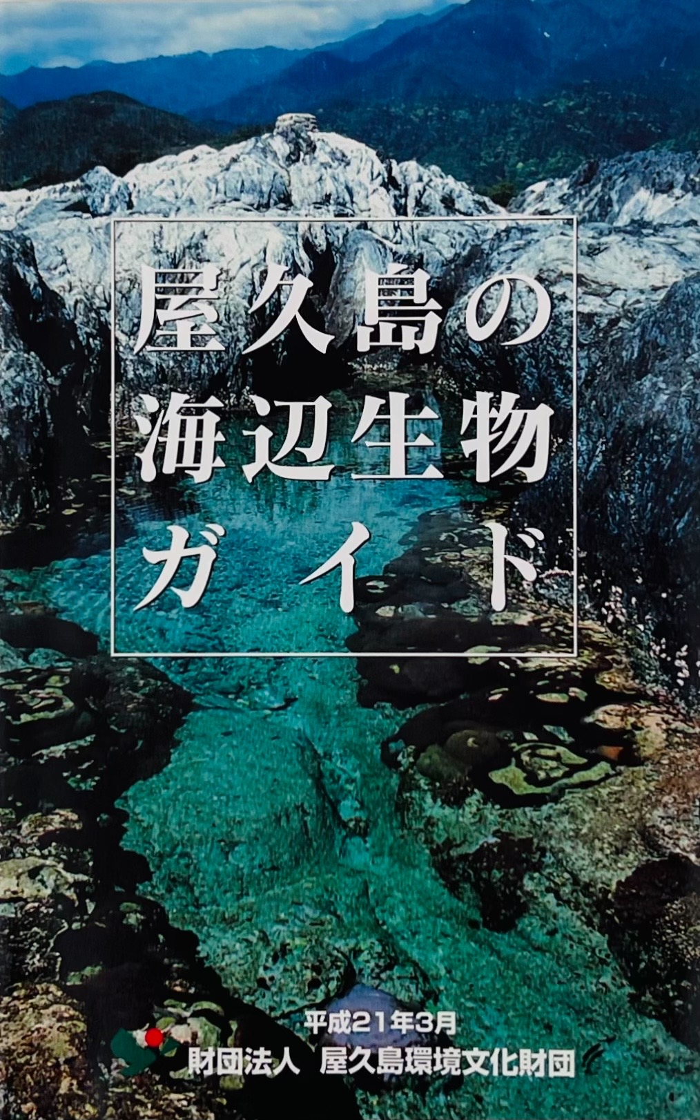 屋久島の海辺ガイド 